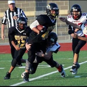 Meet your Posher, Jackson